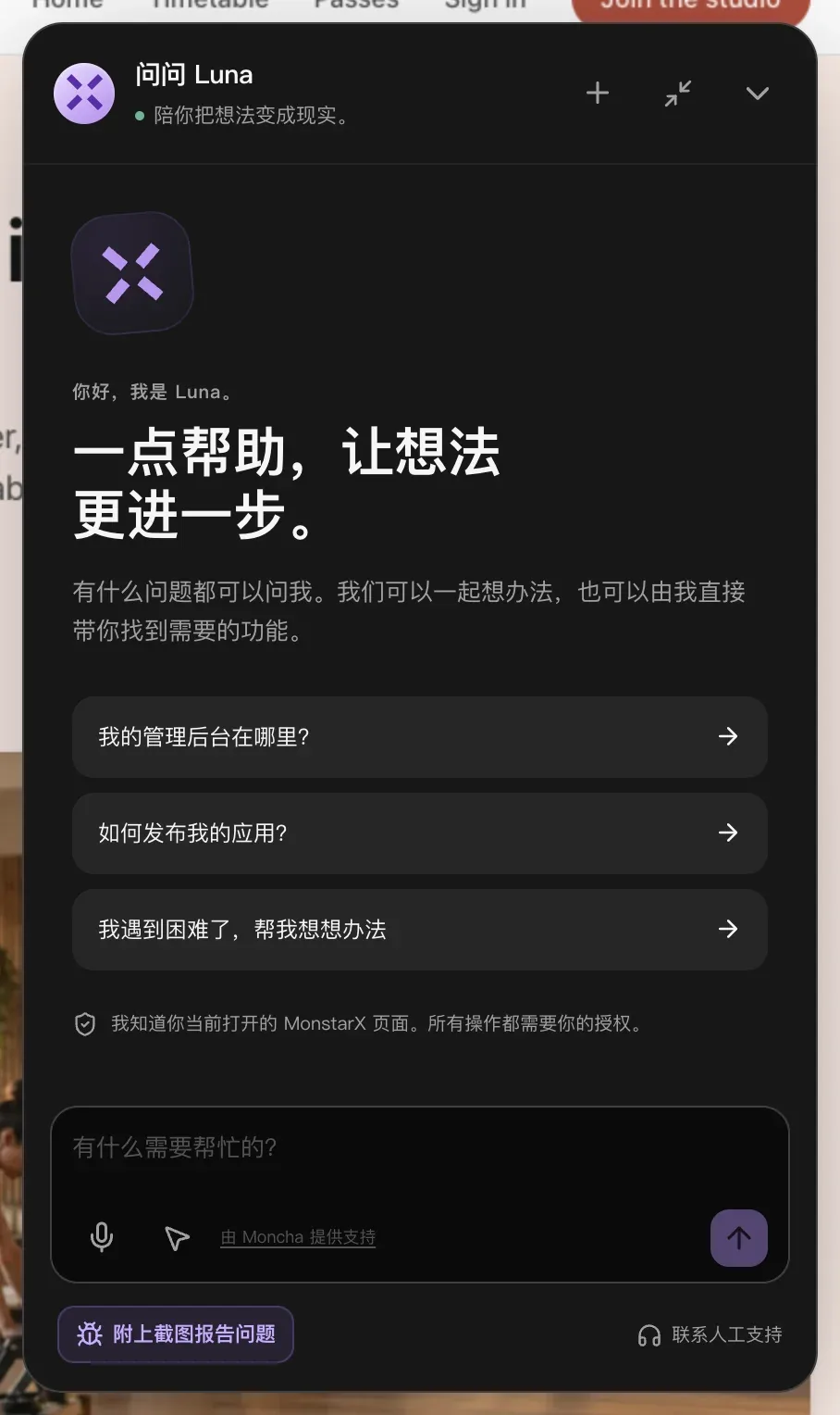 “问问 Luna”面板：“你好，我是 Luna。一点帮助，让想法更进一步。”，三个示例问题，一条说明 Luna 知道你当前所在页面、所有操作都需要授权的提示，以及带麦克风和页面协助按钮的消息输入框