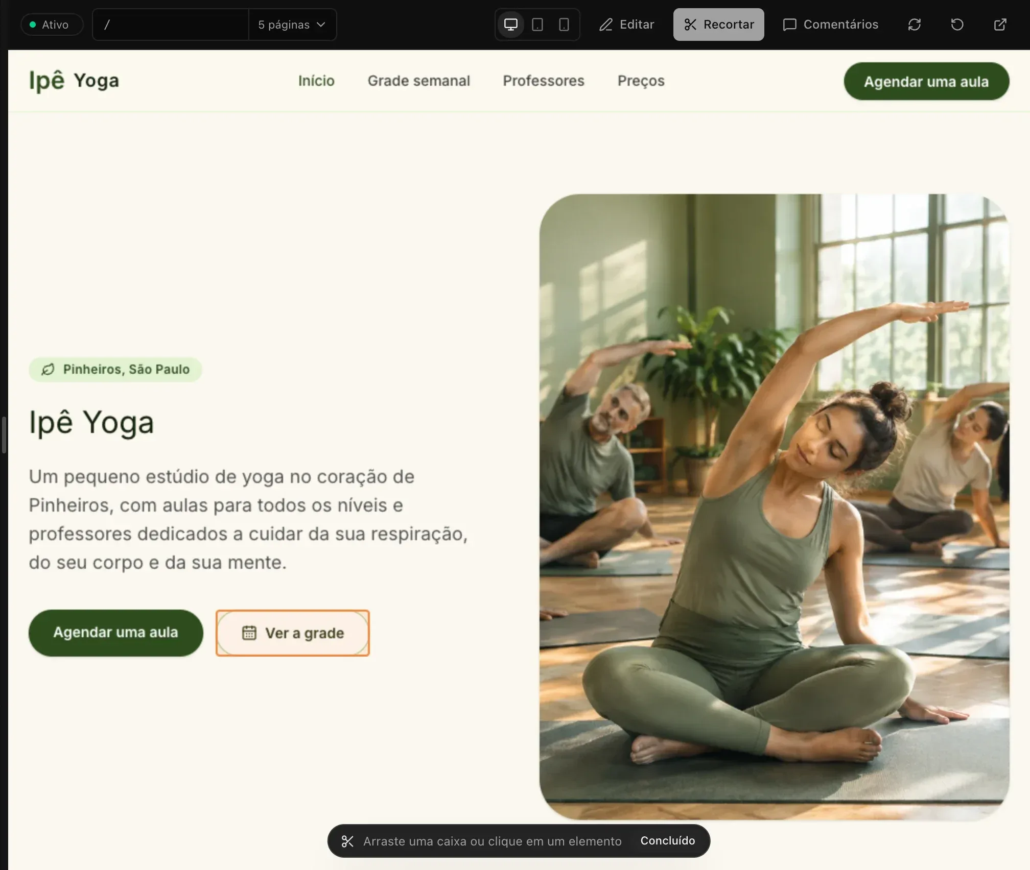 O modo de recorte sobre a página inicial do estúdio Ipê Yoga, com o botão Ver a grade contornado sob o ponteiro e, na parte de baixo, a barra Arraste uma caixa ou clique em um elemento, com Concluído