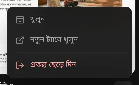 শেয়ার করা প্রকল্পের ⋯ মেনু: খুলুন, নতুন ট্যাবে খুলুন, প্রকল্প ছেড়ে দিন
