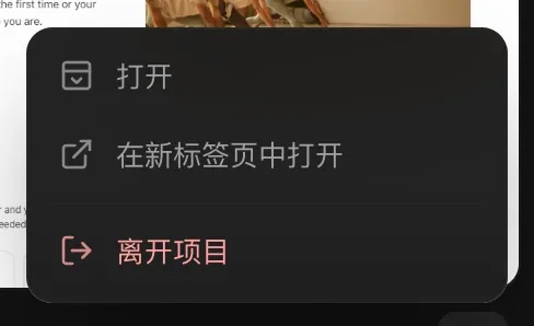 分享项目的 ⋯ 菜单：打开、在新标签页中打开、离开项目