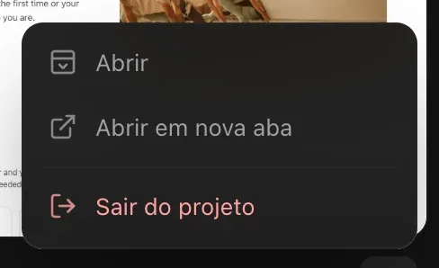 O menu ⋯ de um projeto compartilhado: Abrir, Abrir em nova aba, Sair do projeto